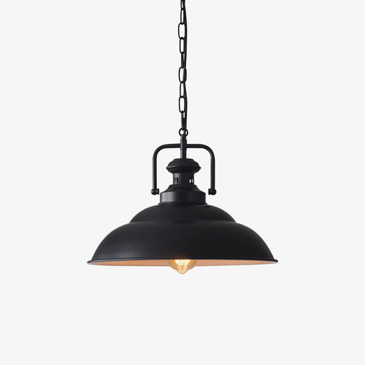 Vintage Industrial Collections Pendant Light-DWHOME