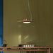 Wanderer Pendant Lamp-DWHOME