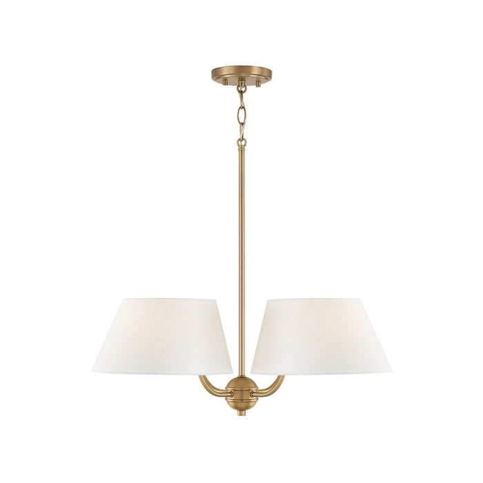 Welsley Chandelier-DWHOME