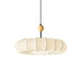 Winnie Veil Pendant Light-DWHOME