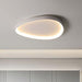 Wisdomegg Irregular Shape Ceiling Lamp - DWHOME