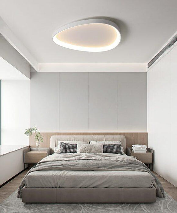 Wisdomegg Irregular Shape Ceiling Lamp-DWHOME