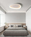 Wisdomegg Irregular Shape Ceiling Lamp - DWHOME
