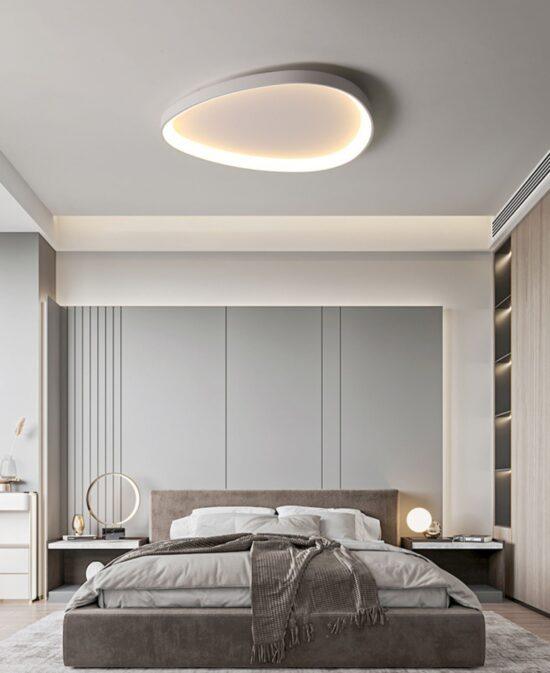 Wisdomegg Irregular Shape Ceiling Lamp - DWHOME