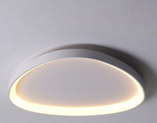 Wisdomegg Irregular Shape Ceiling Lamp - DWHOME