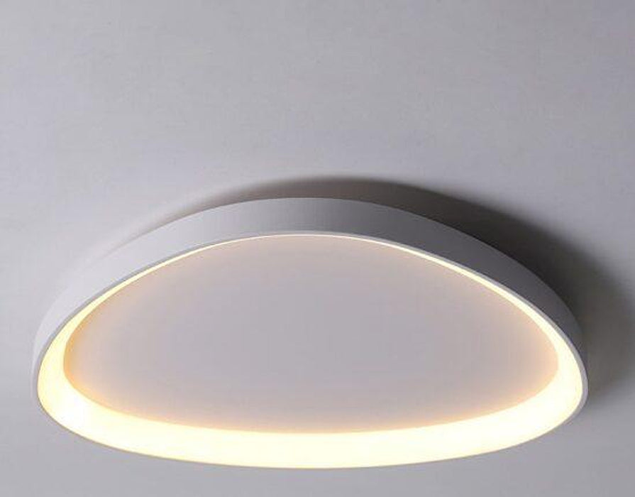 Wisdomegg Irregular Shape Ceiling Lamp-DWHOME