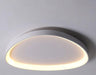 Wisdomegg Irregular Shape Ceiling Lamp - DWHOME