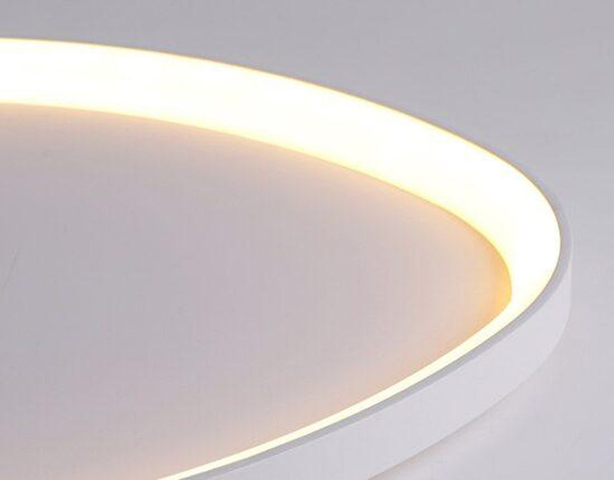 Wisdomegg Irregular Shape Ceiling Lamp-DWHOME