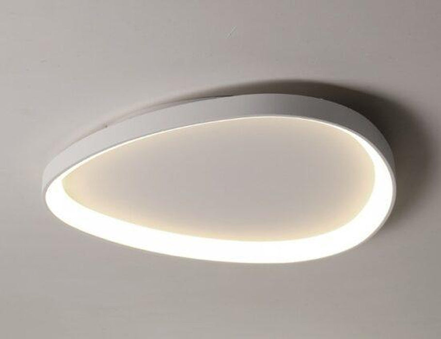 Wisdomegg Irregular Shape Ceiling Lamp-DWHOME
