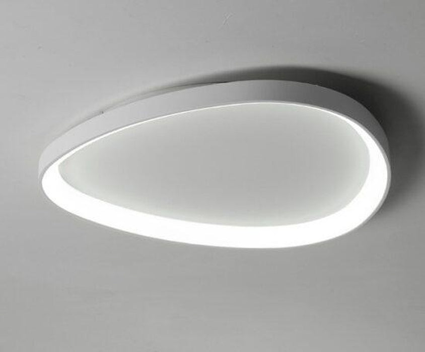 Wisdomegg Irregular Shape Ceiling Lamp-DWHOME