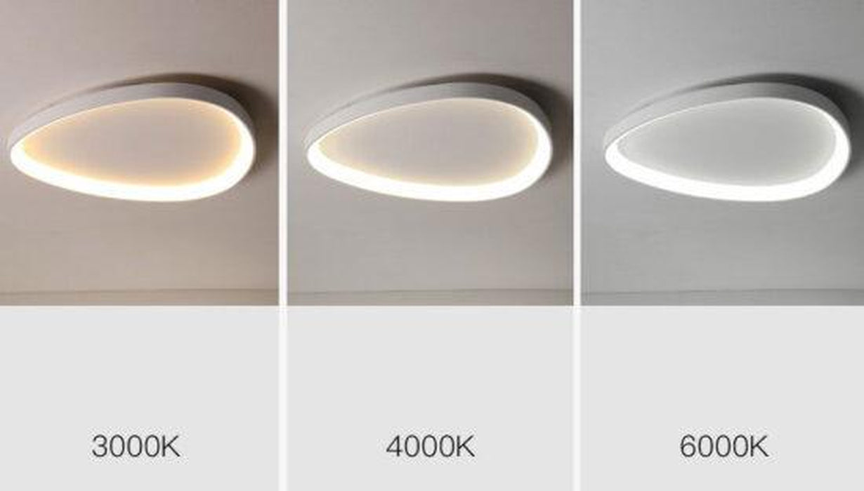 Wisdomegg Irregular Shape Ceiling Lamp-DWHOME