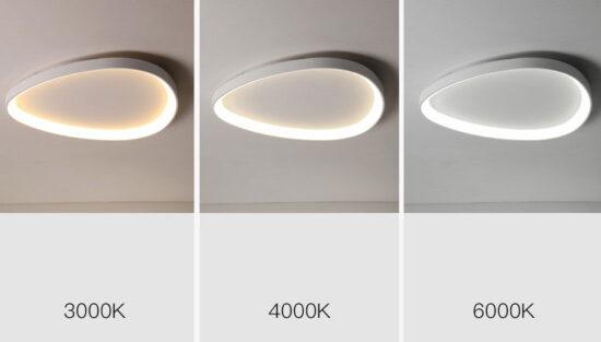 Wisdomegg Irregular Shape Ceiling Lamp - DWHOME