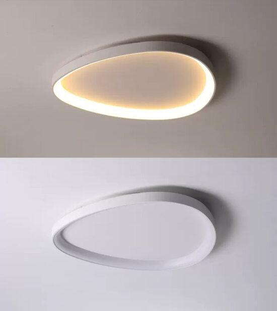 Wisdomegg Irregular Shape Ceiling Lamp - DWHOME