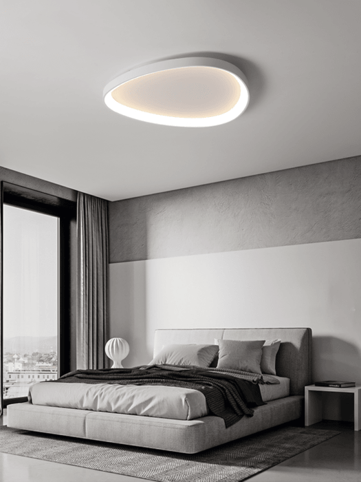 Wisdomegg Irregular Shape Ceiling Lamp - DWHOME
