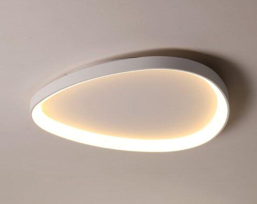 Wisdomegg Irregular Shape Ceiling Lamp-DWHOME