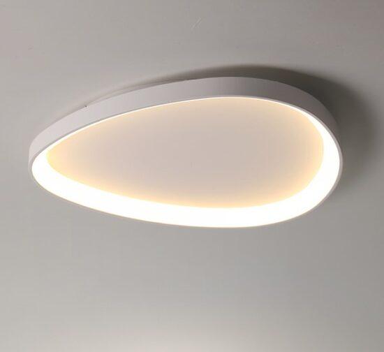 Wisdomegg Irregular Shape Ceiling Lamp - DWHOME