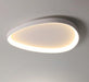 Wisdomegg Irregular Shape Ceiling Lamp - DWHOME