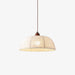 Fabric Series Pendant Lamp-DWHOME