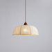 Fabric Series Pendant Lamp-DWHOME