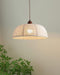 Fabric Series Pendant Lamp-DWHOME