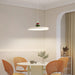 Zennith Balance Pendant Light - DWHOME