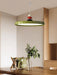 Zennith Balance Pendant Light - DWHOME