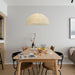 Znts Pendant Lamp - DWHOME