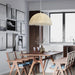 Znts Pendant Lamp - DWHOME