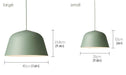 Ambit Metal Shade Pastel Coloured Pendant Light-DWHOME