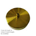 Anemone swirled glass brass pendant Light - DWHOME