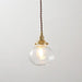 Anemone swirled glass brass pendant Light - DWHOME