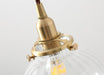Anemone swirled glass brass pendant Light - DWHOME