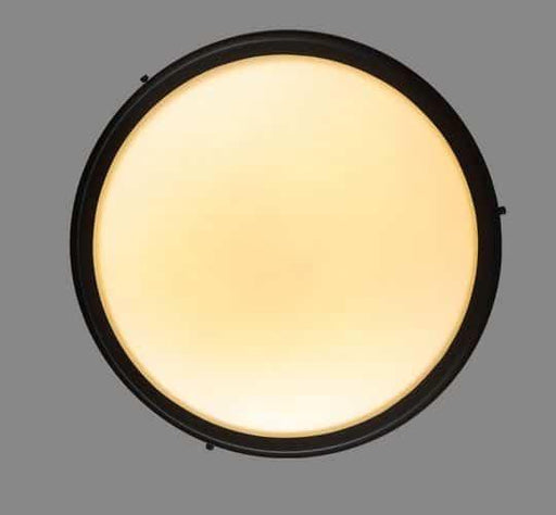 ÁSBJÖRN Moonstone Ceiling Lamp - DWHOME