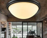ÁSBJÖRN Moonstone Ceiling Lamp - DWHOME