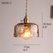Aurelian Tinted Melted Glass Pendant Light - DWHOME