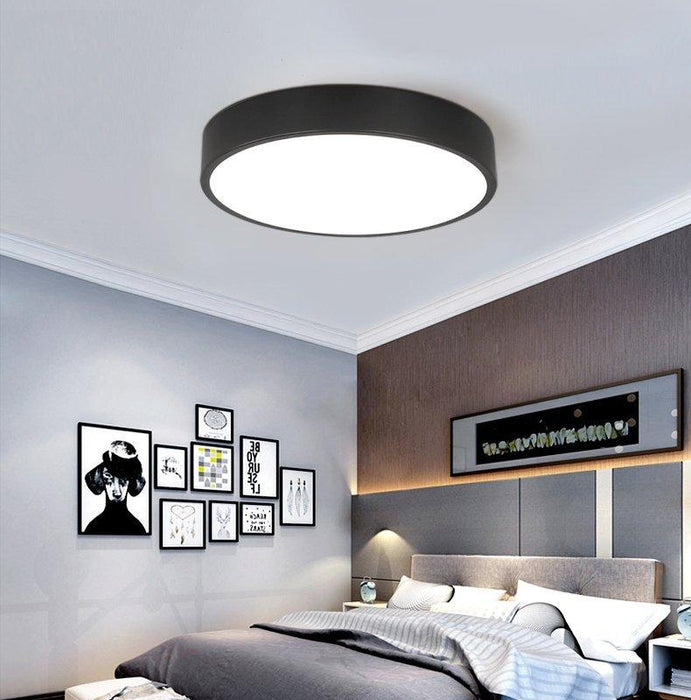 Birgitta Modern Nordic Pastel Colored Ceiling Light - DWHOME