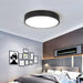 Birgitta Modern Nordic Pastel Colored Ceiling Light - DWHOME