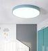 Birgitta Modern Nordic Pastel Colored Ceiling Light - DWHOME