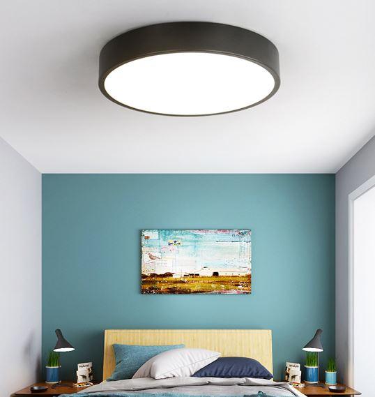Birgitta Modern Nordic Pastel Colored Ceiling Light - DWHOME
