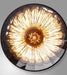 BORGHILD Disk Weighted Hanging Lamp - DWHOME