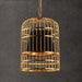 Brass Colour Bird Cage With Black Shade Pendant Light - DWHOME