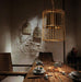 Brass Colour Bird Cage With Black Shade Pendant Light - DWHOME