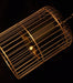 Brass Colour Bird Cage With Black Shade Pendant Light - DWHOME