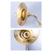 Brass Gooseneck Wall Light - DWHOME