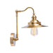 Brass Gooseneck Wall Light - DWHOME