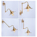 Brass Gooseneck Wall Light - DWHOME