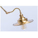 Brass Gooseneck Wall Light - DWHOME