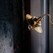 Brass Gooseneck Wall Light - DWHOME