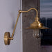 Brass Gooseneck Wall Light - DWHOME