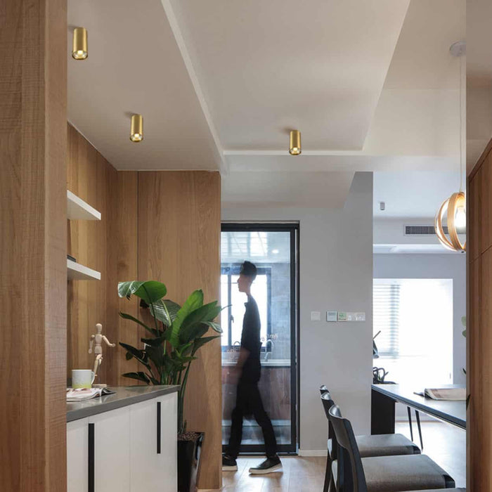 Cabaara Brass Pipe Ceiling Spotlight - DWHOME